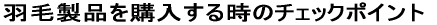 Hѐiw鎞̃`FbN|Cg 